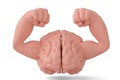 Brain and muscle strong brain 3D illustration